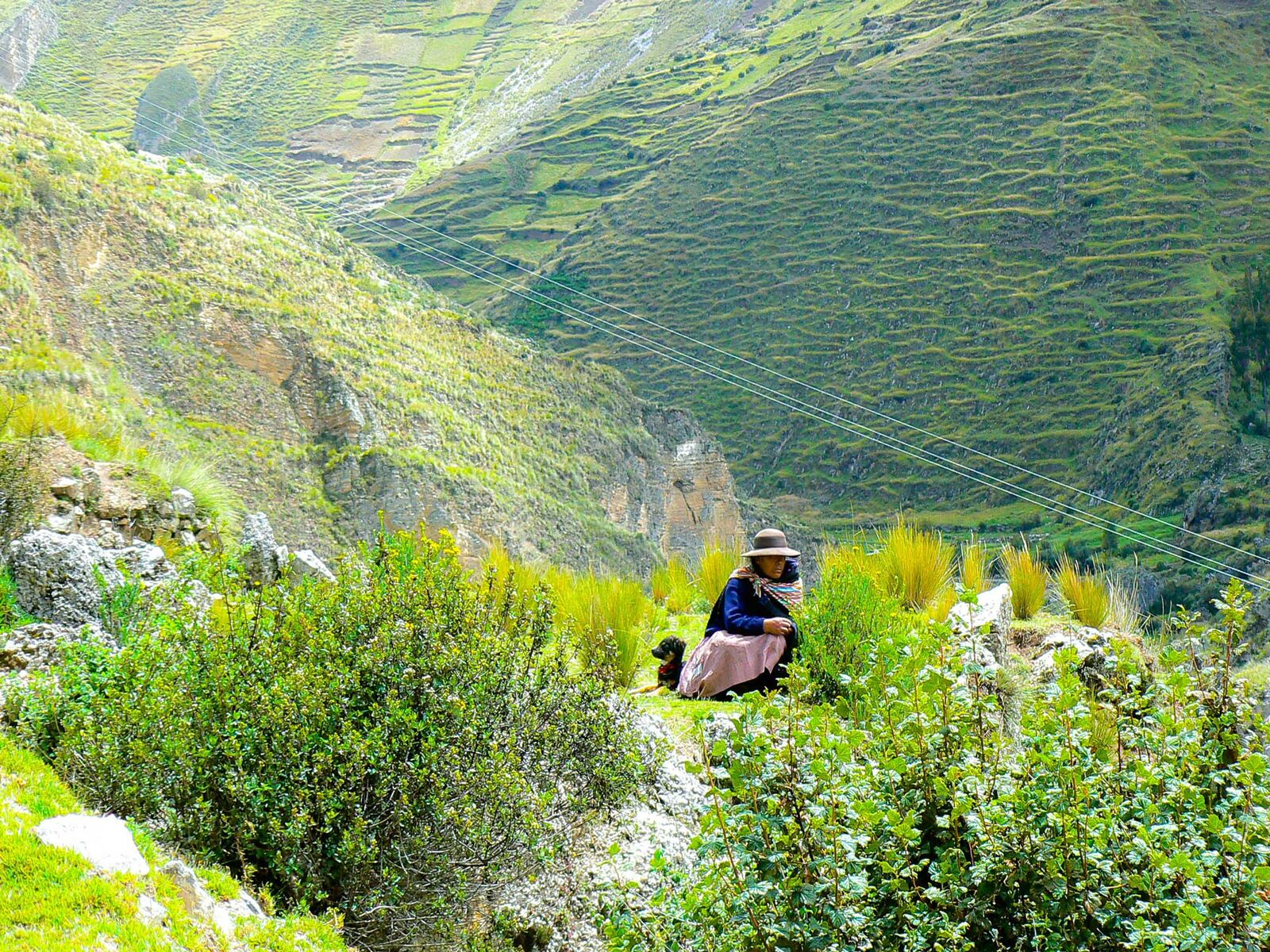 Cordillera de la puna tarmeña